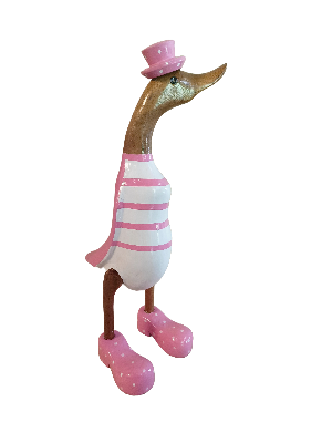 Duck Wooden With Pink Or Grey  & Yellow  Stripes Boots And Hat Just Landed