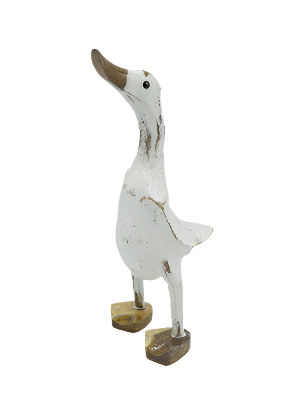 Bamboo Ducks Whitewash in Web Feet Looking For A Forever Home